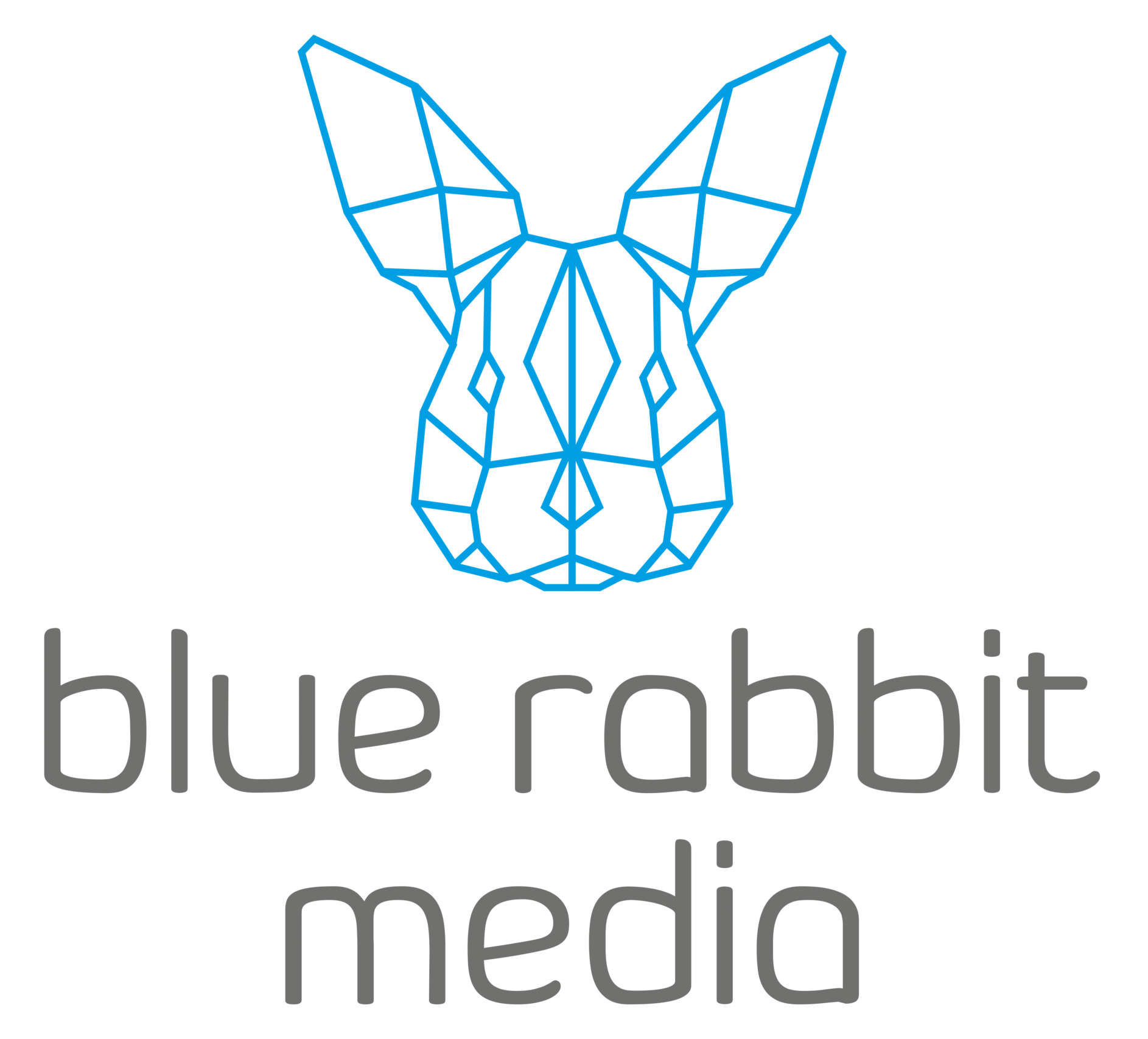 Blue Rabbit Média